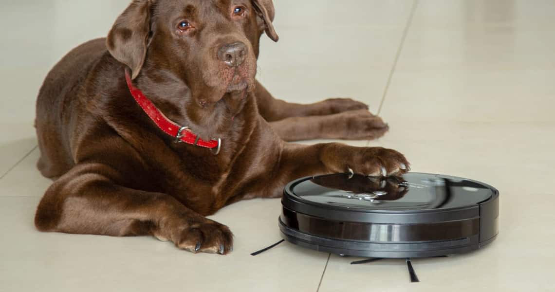 Robot aspirateur poils d’animaux : comparer les meilleures marques en 2026 découvrez le robot aspirateur poils animaux 2026, l'appareil parfait pour un nettoyage efficace et sans effort des poils d'animaux à la maison.